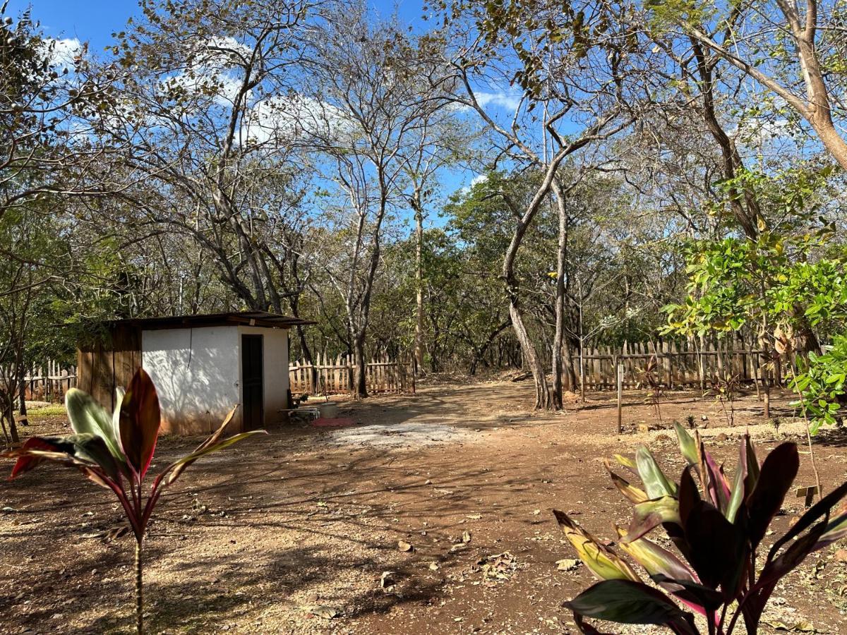 Finca Avellanas Lorena Exterior photo