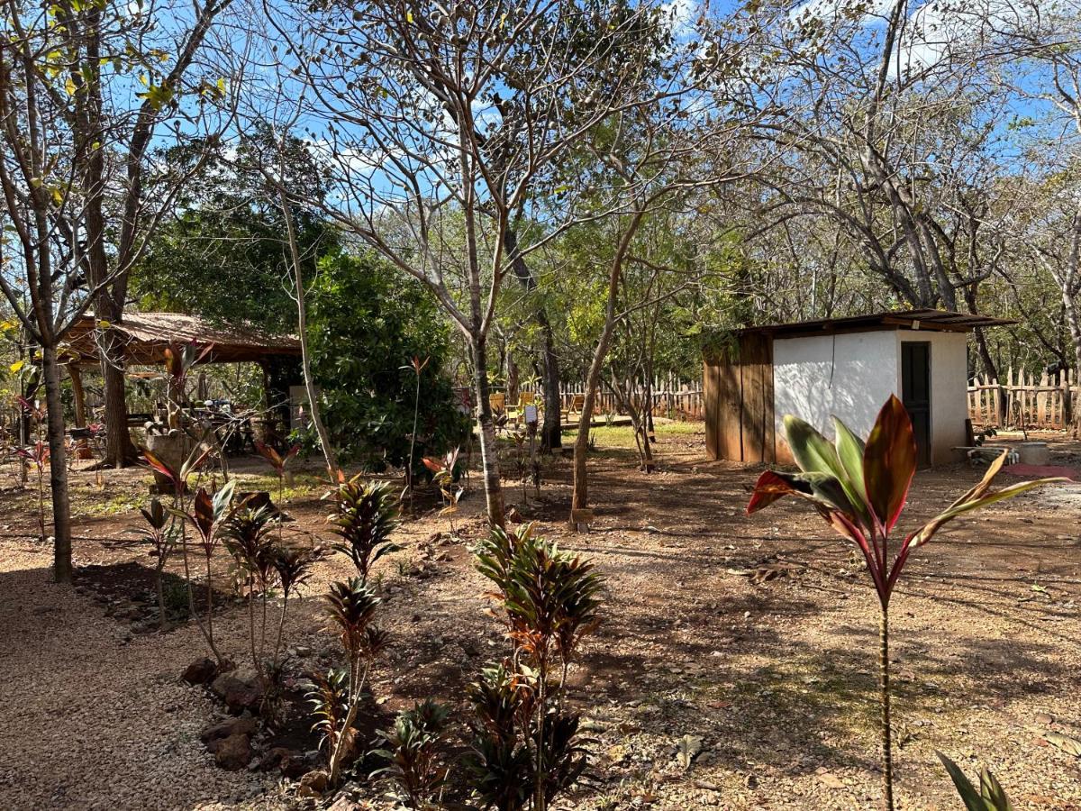 Finca Avellanas Lorena Exterior photo