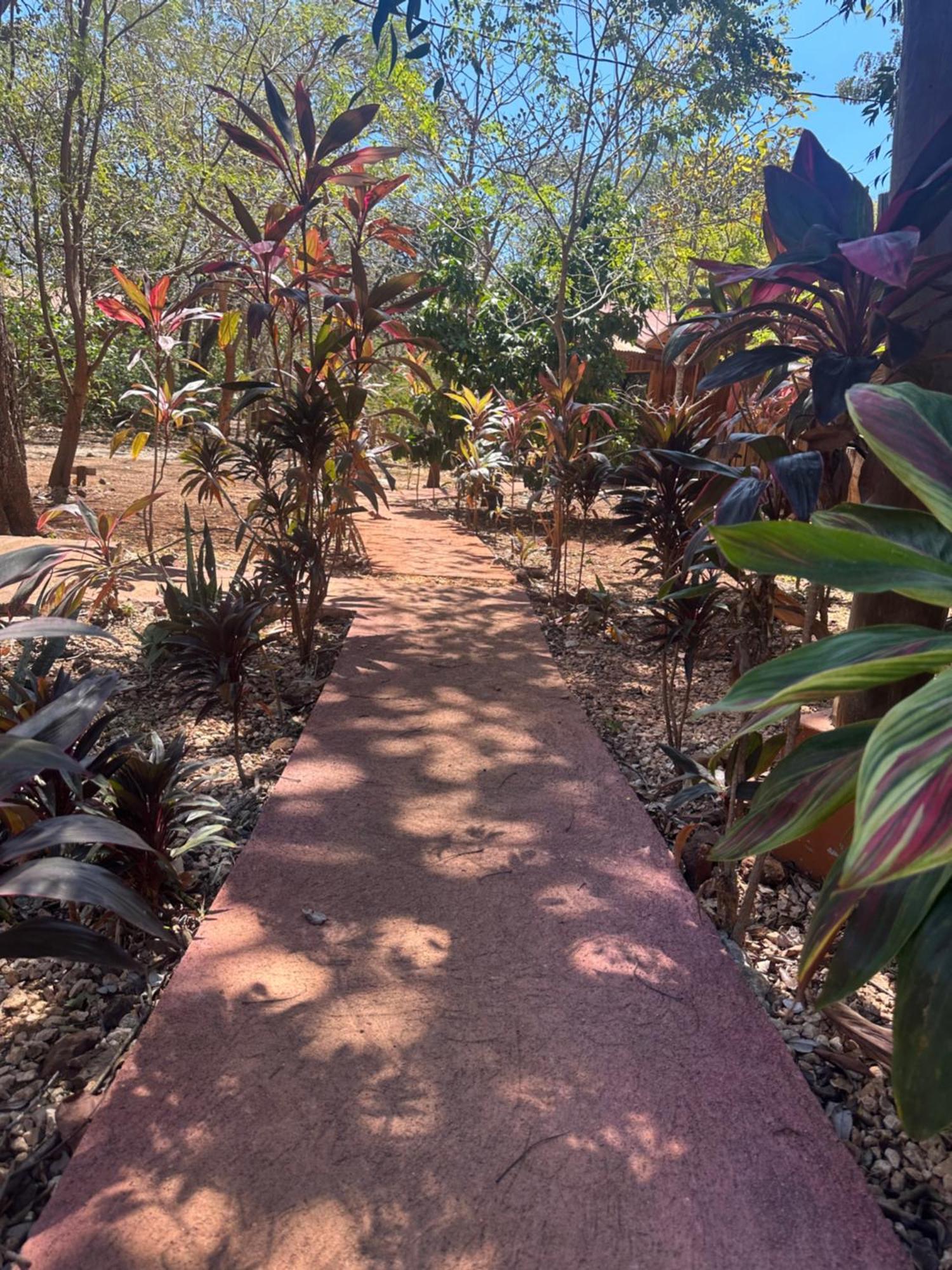 Finca Avellanas Lorena Exterior photo