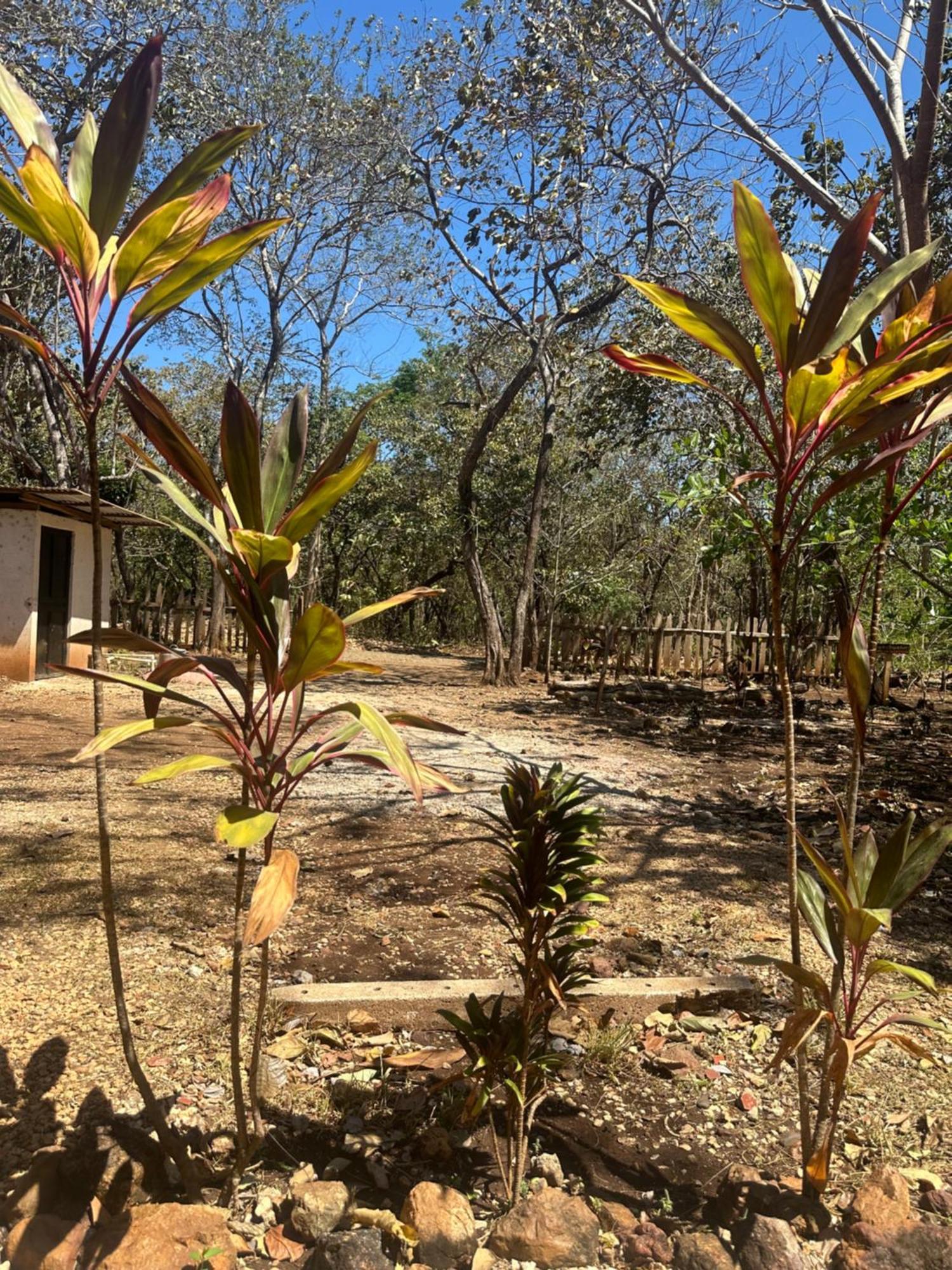 Finca Avellanas Lorena Exterior photo