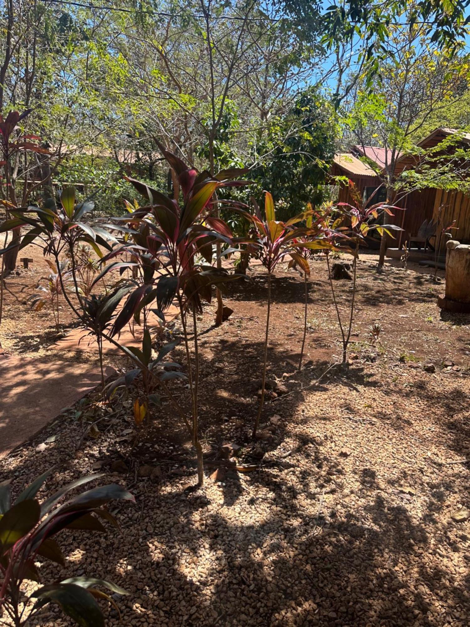 Finca Avellanas Lorena Exterior photo