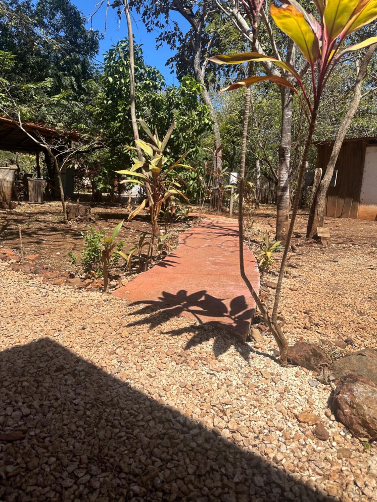 Finca Avellanas Lorena Exterior photo